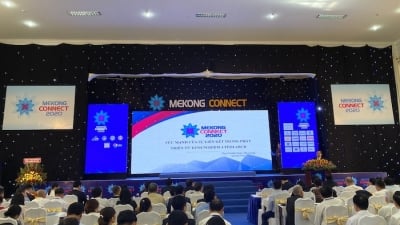Mekong Connect 2021: Bàn cách phục hồi kinh tế và liên kết phát triển trong bình thường mới