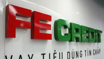 Phó thủ tướng Trương Hoà Bình chỉ đạo làm rõ thông tin ‘Trả nợ cho FE Credit bằng cách tìm cái chết’