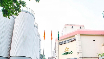Chủ tịch Habeco: Không thể hy sinh lợi nhuận để chiếm thị phần như hãng bia ngoại
