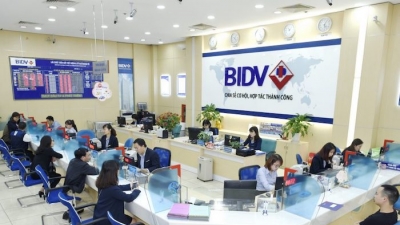 BIDV triển khai thanh toán trực tuyến trên cổng dịch vụ công quốc gia