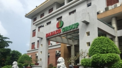 Dabaco (DBC) giải thể 2 doanh nghiệp dự án BT tại Bắc Ninh