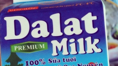Dalatmilk bị phạt hơn 300 triệu đồng vì vi phạm bảo vệ môi trường, xả thải không phép