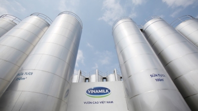 Vinamilk ghi tên ‘Sữa Việt’ trên các bảng xếp hàng toàn cầu về giá trị và sức mạnh thương hiệu