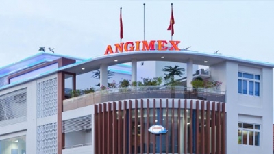 Ông Vũ Ngọc Long xin từ nhiệm phó chủ tịch và thành viên HĐQT Angimex (AGM)