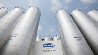 Vinamilk (VNM): Cổ đông lớn F&N Dairy Investment đăng ký mua gần 20,9 triệu cổ phiếu