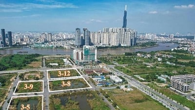 Sở Tư pháp TP. HCM báo cáo kết quả xác minh cuộc đấu giá lô đất bị Tân Hoàng Minh bỏ cọc