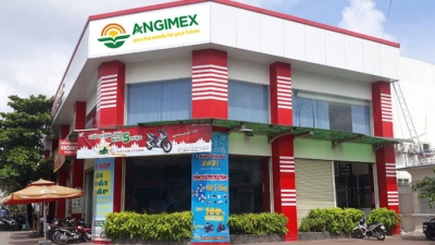 Angimex (AGM) điều chỉnh giảm 64% kế hoạch lợi nhuận, 51% doanh thu