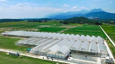2 năm của VinEco: 14 nông trường và 3.000 ha diện tích sản xuất