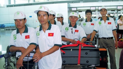 Hàn Quốc chỉ tiếp nhận tối đa 3.500 lao động Việt Nam sang làm việc