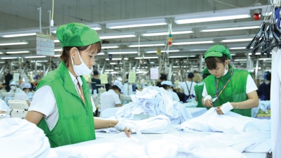 Báo cáo Kinh tế tư nhân Việt Nam năm 2018 của nhóm nghiên cứu Economica