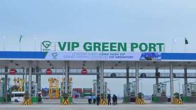Hơn 63,2 triệu cổ phiếu VGR của CTCP Cảng Xanh VIP lên sàn UPCoM
