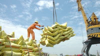 Doanh nghiệp Việt tồn kho hơn 1 triệu tấn gạo