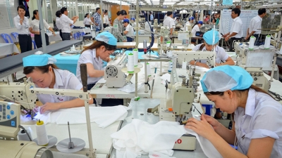 Một số mặt hàng của Việt Nam xuất khẩu sang EAEU có thể bị tăng thuế nhập khẩu
