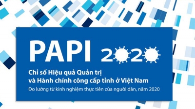 Báo cáo Chỉ số Hiệu quả quản trị và hành chính công cấp tỉnh ở Việt Nam (PAPI) năm 2020
