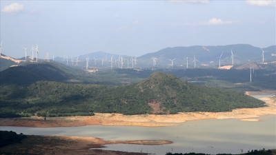 Quảng Trị chuyển đổi hơn 20ha rừng để làm nhà máy điện gió Tân Hợp gần 1.700 tỷ đồng