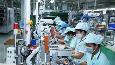 Báo cáo cập nhật tình hình kinh tế Việt Nam tháng 8/2021 của World Bank