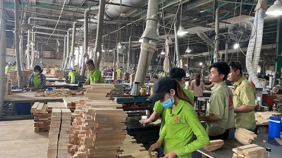 Khởi sắc như ngành gỗ: Xuất khẩu có thể đạt 18 tỷ USD