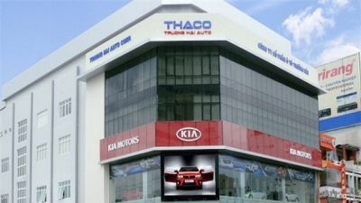 Thaco 'soán ngôi' Vinamilk giành vị trí doanh nghiệp tư nhân lớn nhất