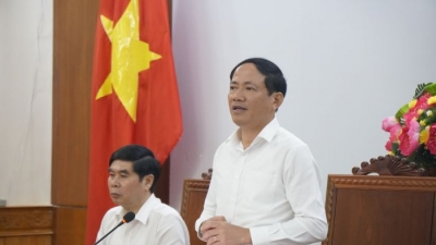 Chủ tịch Bình Định nói gì về dự án Khu liên hợp gang thép Long Sơn 53.000 tỷ đồng?
