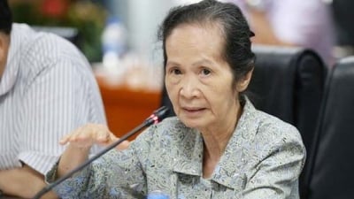 Bà Phạm Chi Lan: ‘Chính sách tài khoá của Việt Nam đang có vấn đề khá nặng’