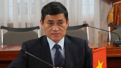 Chủ tịch VASI: Ngành ô tô Việt Nam nên tập trung sản xuất phụ tùng thay vì chế tạo xe mới