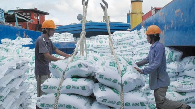 Gần hết ngày 26/4, gạo xuất khẩu chỉ đạt 46% hạn ngạch