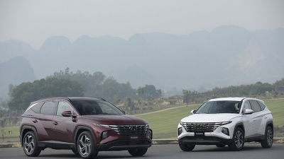 10 hãng xe bán nhiều ôtô nhất 1/2023: Hyundai vượt Toyota, Ford cho Kia 'hít khói'