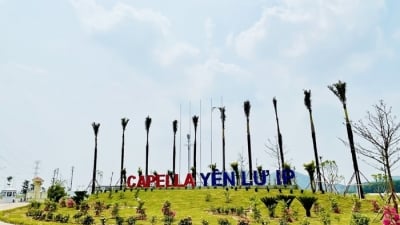 Xây dựng không phép, Bất động sản Capella bị tỉnh Bắc Giang xử phạt
