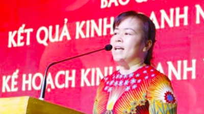 Cựu Chủ tịch Vimedimex Nguyễn Thị Loan tiếp tục bị truy tố