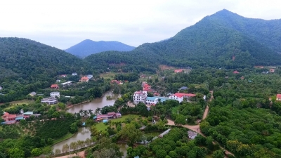 Chủ tịch Hà Nội: Không để tồn tại 27 công trình vi phạm mới ở rừng Sóc Sơn