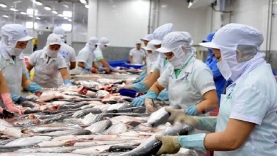 Thứ trưởng Bộ Nông nghiệp: Việt Nam có thể kiện Mỹ vì áp thuế chống bán phá giá cá tra