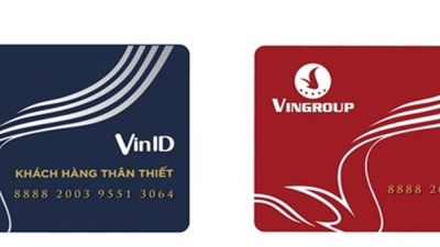 Vingroup lấn sân lĩnh vực trung gian thanh toán, lập công ty VINID vốn điều lệ 3.000 tỷ