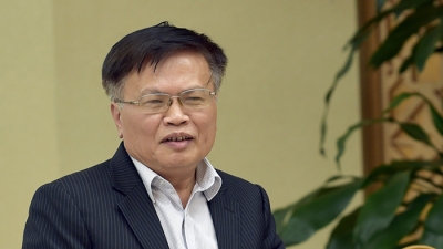 Ông Nguyễn Đình Cung: 'Hãy để doanh nghiệp lớn bằng tài năng thực của họ'