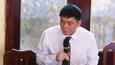 Vợ chồng luật sư Trần Vũ Hải bị đề nghị truy tố tội trốn thuế
