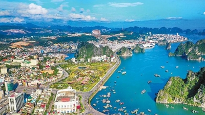 TMS ngỏ ý đầu tư 2 dự án du lịch có tổng quy mô 1.466ha tại Quảng Ninh