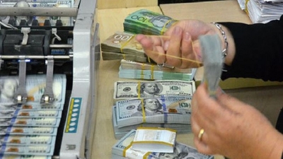 Phó Thống đốc: Ngân hàng Nhà nước đã mua ròng lượng lớn ngoại tệ