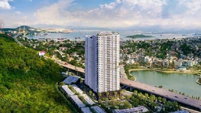 Quảng Ninh chấp thuận cho một doanh nghiệp xây chung cư, khách sạn 35 tầng tại TP. Hạ Long
