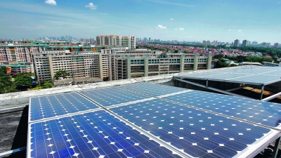 Sau Ninh Thuận, Bitexco muốn làm nhà máy điện mặt trời 1.200 tỷ đồng ở Bình Thuận