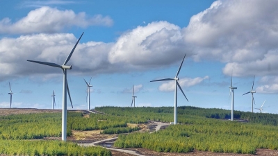 Cụm trang trại điện gió B&T hơn 8.900 tỷ ở Quảng Bình đợi chủ trương đầu tư