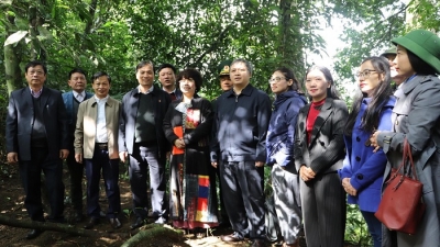 Hà Tĩnh: Chủ tịch Tập đoàn TH Thái Hương khảo sát đầu tư du lịch tại Vũ Quang