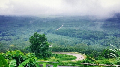 Bình Thuận: Khu phức hợp Centraland hơn 6.000 tỷ có 107ha là đất rừng