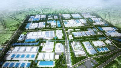 Bà Rịa-Vũng Tàu xin ý kiến Bộ KHĐT chấp thuận đầu tư khu công nghiệp 450ha
