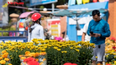 Rực rỡ chợ hoa Tết Thuận An, Bình Dương