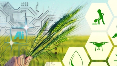 Ứng dụng AI: Tiêu chuẩn hóa và tự động toàn bộ chu trình nông nghiệp sạch