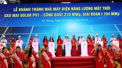 Nhà máy điện mặt trời Sao Mai Solar PV1 3.000 tỷ đồng ở An Giang chính thức vận hành