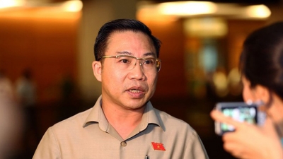 ĐBQH Lưu Bình Nhưỡng nói về tranh chấp giữa doanh nghiệp và cơ quan nhà nước: 'Tốt nhất là ra tòa'