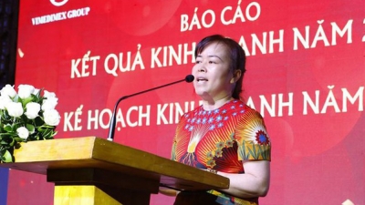 Chủ tịch Vimedimex Nguyễn Thị Loan bị bắt