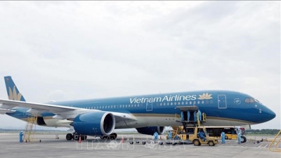 Vietnam Airlines khởi động kế hoạch mở đường bay thẳng tới Mỹ