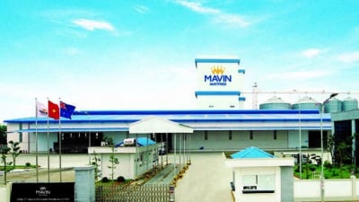 Kon Tum đồng ý để Tập đoàn Mavin làm tổ hợp nông nghiệp 650 tỷ, rộng gần 600ha