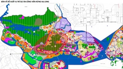 Vingroup đề xuất đầu tư dự án công viên rừng rộng 650ha tại Hạ Long